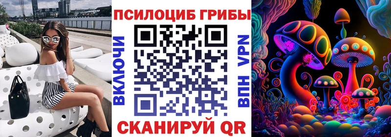 Псилоцибиновые грибы мицелий  Каргополь 